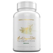 Absolute Nutrition Ashwagandha with GILOI & TULSI,  60 tablet(s) 