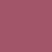 Berry Wild