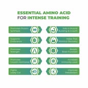 7 - Muscle Monk Intense Mass Gainer with L Glutamine 100g Unflavoured,  6.6 lb  Royal Chocolate 