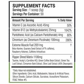 supplement - Pole Nutrition Ripper Fat Burner,  0.55 lb  Tangy Pineapple 