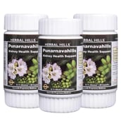 Herbal Hills Punarnavahills,  60 capsules  - Pack of 3
