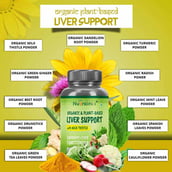 1 - Nutrainix Liver Support with Milk Thistle,  60 capsules 
