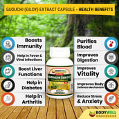 1 - Bodywell Guduchi (Giloy) Pure Extract 500 mg,  120 veggie capsule(s) 
