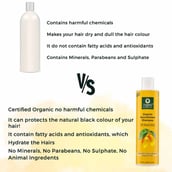 4 - Organic Harvest Organic Nourishment Shampoo,  250 ml  for All Types of Hair 