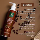 2 - Organic Harvest Organic Hair Strengthening Conditioner,  200 ml  for All Types of Hair 