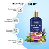 4 - St.Botanica Moroccan Argan Shampoo,  300 ml  All Hair Type 