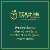 6 - VAHDAM Cruise Stainless Steel Tumbler,  Mint Green  590 ml 