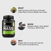 9 - ON (Optimum Nutrition) Serious Mass, 3 lb Chocolate