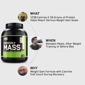 9 - ON (Optimum Nutrition) Serious Mass,  12 lb  Vanilla 