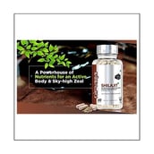 4 - Nirvasa Shilajit+,  60 capsules 