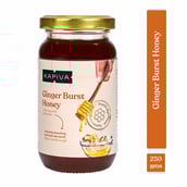 4 - Kapiva Ginger Burst Honey,  250 g  Unflavoured 