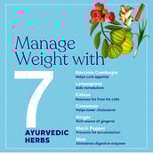 4 - Kapiva Akrti Green Tea,  20 Tea Bag(s)  Unflavoured 