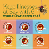 6 - Kapiva Paachaka Green Tea,  20 Tea Bag(s)  Unflavoured 