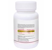 Biotrex Shilajit (500 mg),  60 capsules 