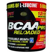 SAN BCAA-Pro Reloaded,  1 lb  40 Servings  Strawberry Kiwi 