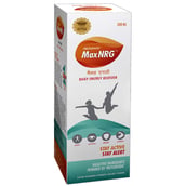 Maximaa Proyurveda Maxnrg Syrup,  300 ml 