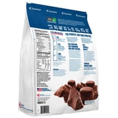 Dymatize Elite 100% Whey Protein,  10 lb  Rich-Chocolate 