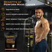 7 - Nakpro Perform Mass Gainer, 2.2 lb Banana