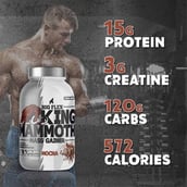 6 - Big Flex King Mammoth Mass Gainer,  2.2 lb  Mocha 