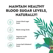 6 - Kapiva Karela Jamun Juice (Supports Healthy Blood Sugar),  Unflavoured  1 L 