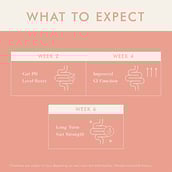 3 - Cosmix Prebiotics My Happy Gut,  60 g  Unflavoured (Jar, Pack of 2) 