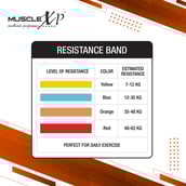 2 - MuscleXP Resistance Heavy Duty Stretch Loop Band,  Orange  35-48 kg 