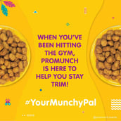 3 - Promunch Roasted Soya Snack,  Noodle Masala, Tangy Pudina Jain Snack, Cheese & Onion Combo  150 g 
