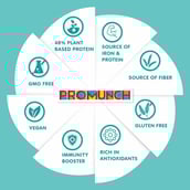 2 - Promunch Roasted Soya Snack,  Noodle Masala  300 g 