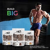 4 - Absolute Nutrition Knockout Series Elephant Mass Gainer,  2.2 lb  American Ice Cream 