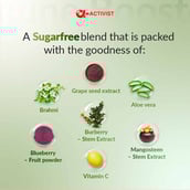 2 - Activist Immune Shot Syrup, 450 ml