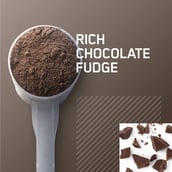 4 - ON (Optimum Nutrition) Gold Standard 100% Plant Protein,  1.51 lb  Double Rich Chocolate 