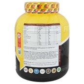 3 - FB Nutrition Fitness Buzz Bulk Gain,  5.5 lb  Chocolate 