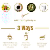 2 - Rooted Active Naturals Oyster Mushroom Extract Powder,  60 g 