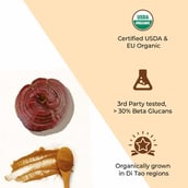 3 - Rooted Active Naturals Reishi Organic Mushroom Extract,  60 g 