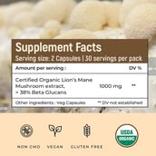 6 - Rooted Active Naturals Lion's Mane Organic Mushroom Extract,  90 veggie capsule(s) 