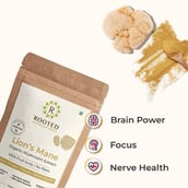 6 - Rooted Active Naturals Lion's Mane Organic Mushroom Extract,  60 g 