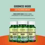 7 - Morpheme Remedies Green Coffee Bean,  60 capsules 