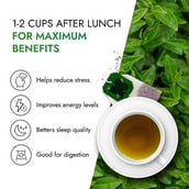 5 - Kapiva Dia Foods Green Tea, 30 Tea Bag(s) Unflavoured