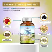 4 - Vaamveda Shilajit (Pack of 3), 60 capsules