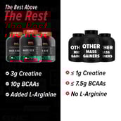 6 - GNC Amp Mass XXX,  4.4 lb  Chocolate 