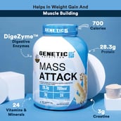 5 - Genetic Nutrition Mass Attack,  2.2 lb  Chocolate Fudge 