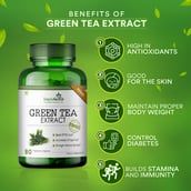 3 - Simply Herbal Green Tea Extract 500mg,  80 veggie capsule(s)  Unflavoured (Pack of 3) 