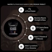 7 - Nakpro Mass Gainer Platinum High Protein Mass Gainer,  2.2 lb  Chocolate 