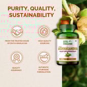 3 - Divya Himalayan Ashwagandha,  60 capsules 