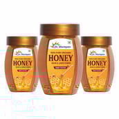 1 - Dr. Morepen 100% Pure Organic Honey,  250 g  Raw & Unfiltered (Pack of 3) 