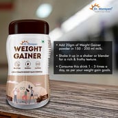 4 - Dr. Morepen Weight Gainer,  1.1 lb  Irish Chocolate (Pack of 2) 