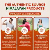 3 - Divya Himalayan Super Immunity Elixir (Pack of 3),  450 ml 