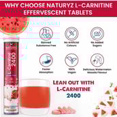 6 - Naturyz L-Carnitine 2400,  20 tablet(s)  WaterMelon Masala (Pack of 3) 