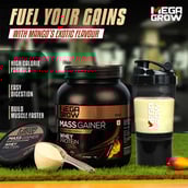 5 - Megagrow Mass Gainer High Calories Formula,  2.2 lb  Mango 