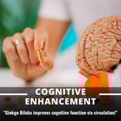 7 - Humming Herbs Ginkgo Biloba Ginseng,  90 capsules 